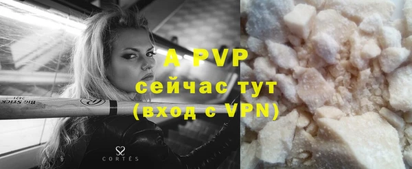 ГАЛЛЮЦИНОГЕННЫЕ ГРИБЫ Вязьма