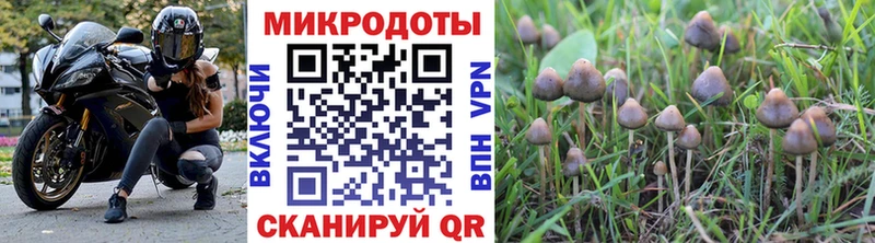 ссылка на мегу вход  сколько стоит  Ноябрьск  это состав  Галлюциногенные грибы мицелий 