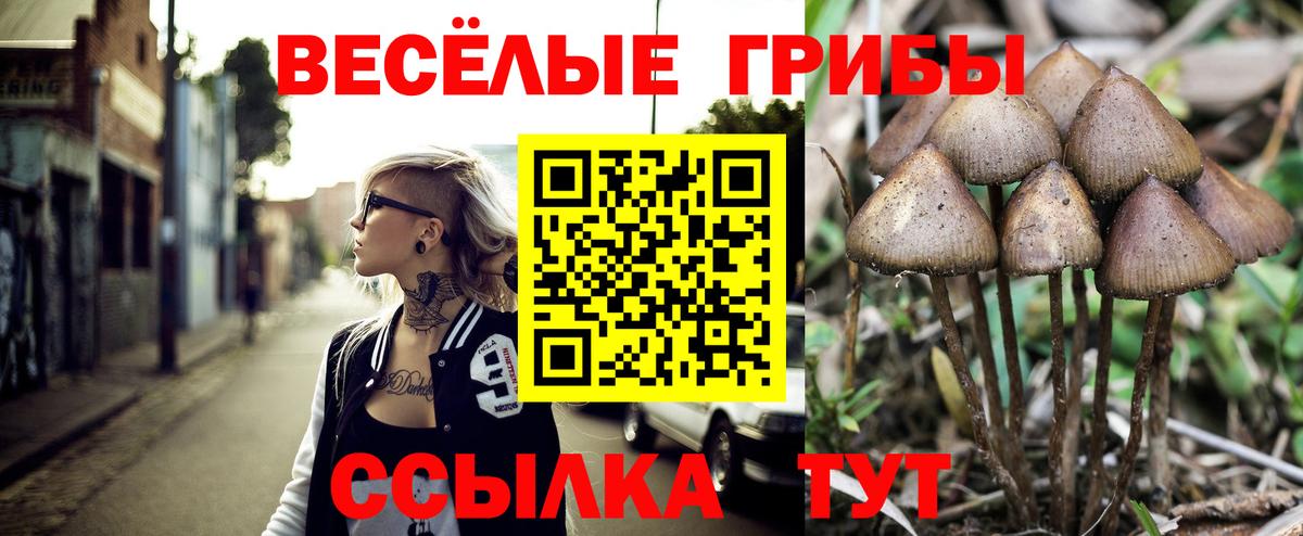 Ноябрьск  Галлюциногенные грибы Psilocybine cubensis  Вход с VPN 